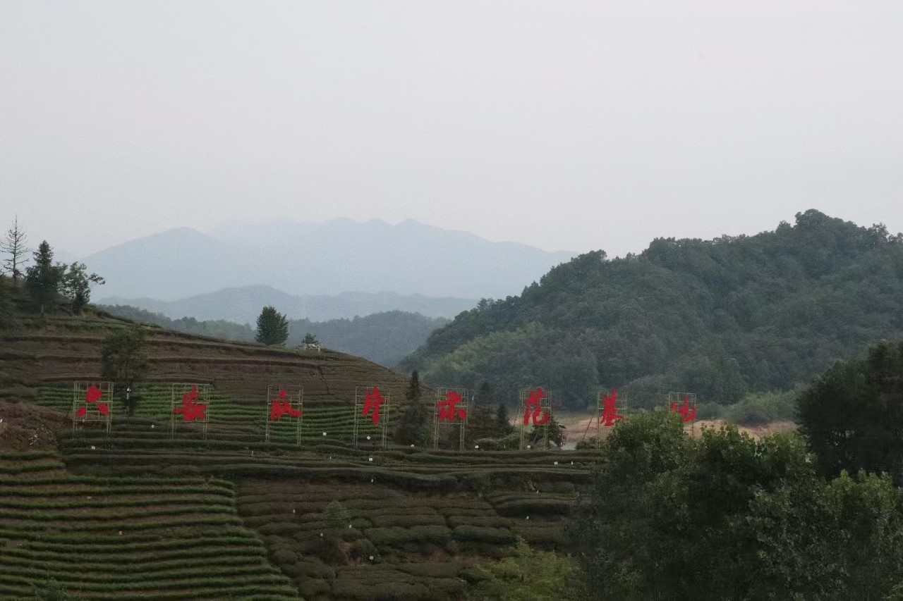 س푲Vl(xing)dƪ