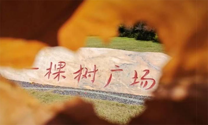 W(xu)zӰۺ߅f(xi)(hu)ek2023ꡰS(d)¶t~SL(fng)zӰِ